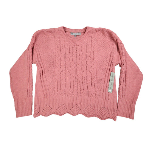 Absolutely Famous Chenille Cable Knit Sweater Womens XL Pink Scalloped AD1350 - take2supply