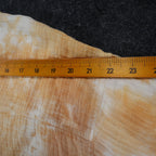 Hem & Thread Womens S Tan Cream Tie Dye Cotton Gauze Snap Bomber Jacket NWT - take2supply